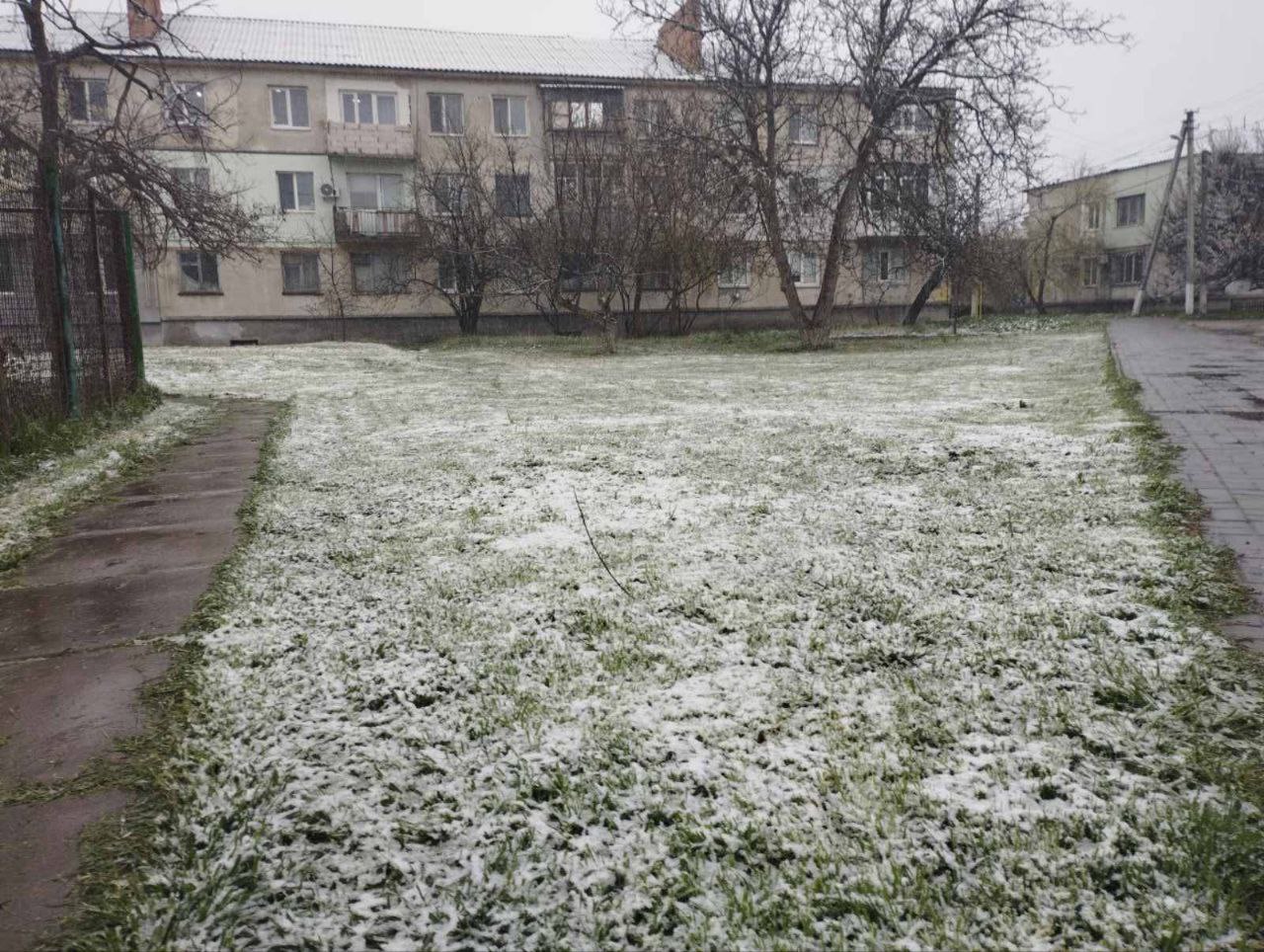 Попри морози і майбутню посуху Сальдо обіцяє високі врожаї