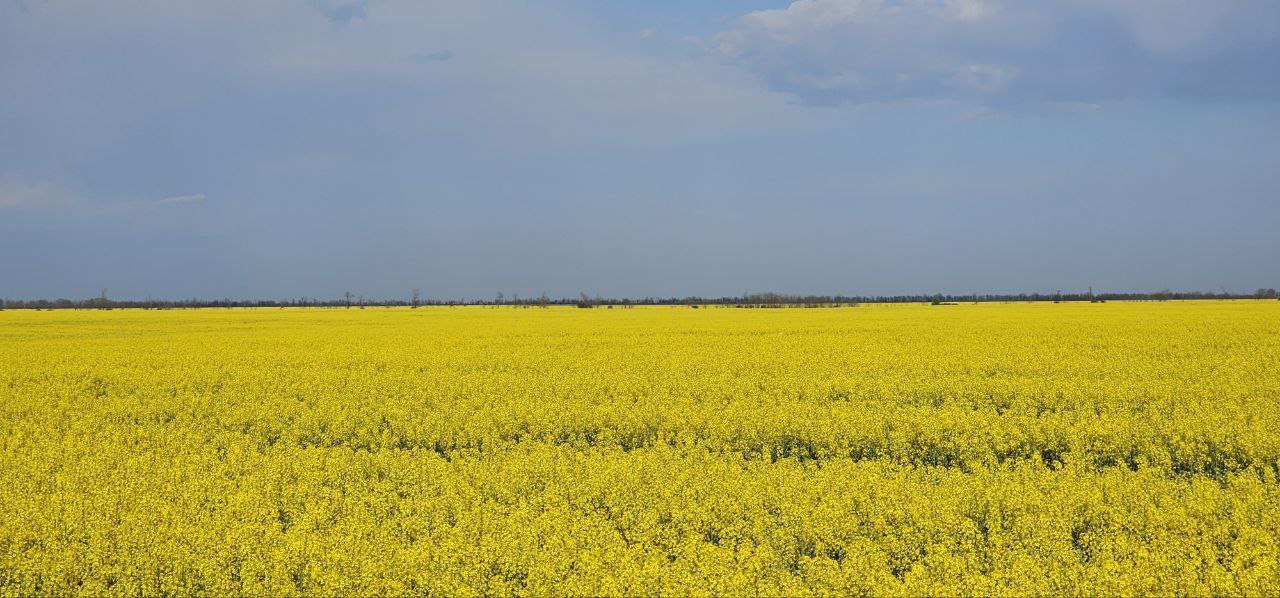 Окупанти впевнені, що придумали спосіб виявлення патріотів України