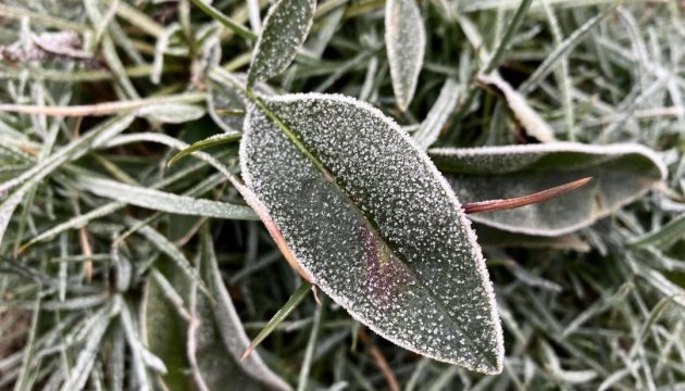 Синоптики попереджають про заморозки до -3°