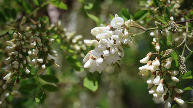 Якою буде погода на Херсонщині 10 травня