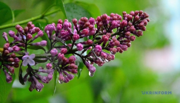 Від заморозків до +26°: вихідні в Україні будуть і з сонцем, і з дощем