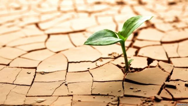 Кліматологи попереджають про аномальне нагрівання території, на якій розташована Україна: буде посуха та екстремальна спека