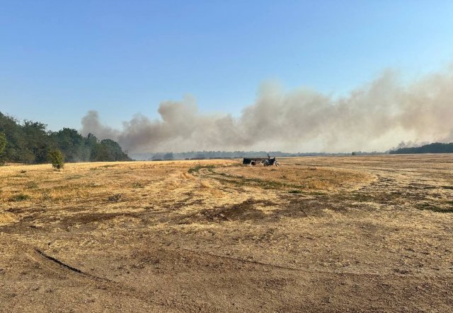 Лісові пожежі на ТОТ Херсонщини: вигоріло понад 2 тисячі га