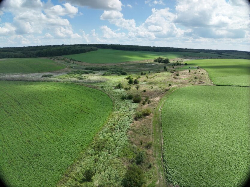 Частина України може залишитися без річок вже найближчими роками: екологи б'ють на сполох
