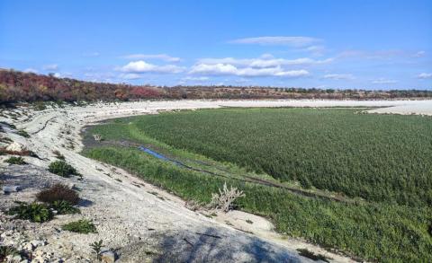 Нова екосистема, яка утворилась на місці Каховського водосховища, має певні потенційні ризики