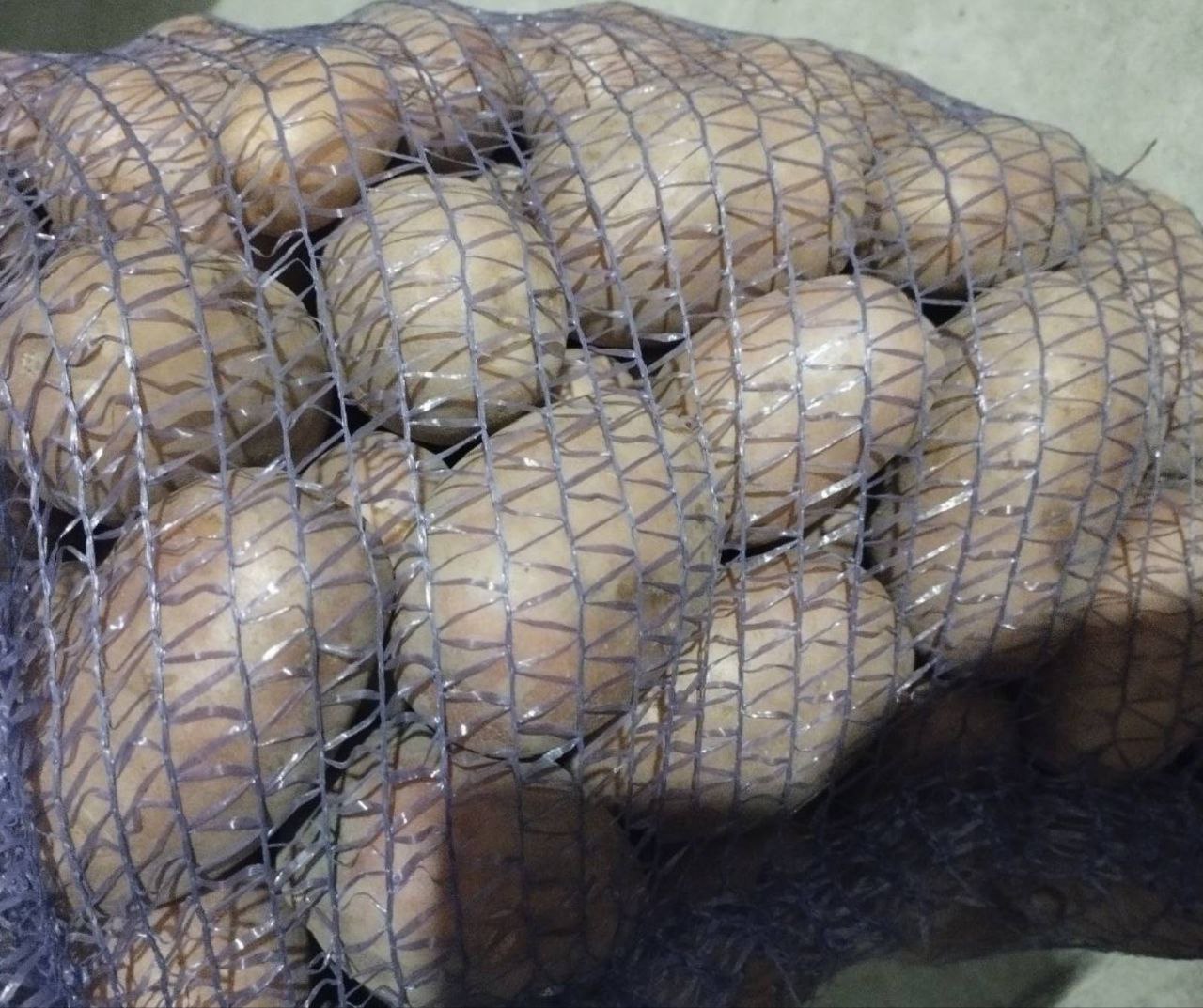 Кавуни на окупованій Херсонщині дорогі, а картопля поки що доступна