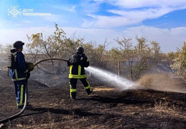 Минулої доби в Херсонській області сталося 10 пожеж у природних екосистемах