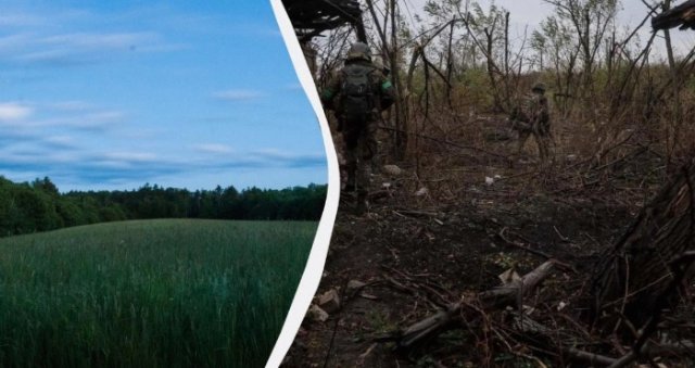 Після боїв в Україні чужорідні рослини захоплюють поля: еколог розповів про Херсонщину