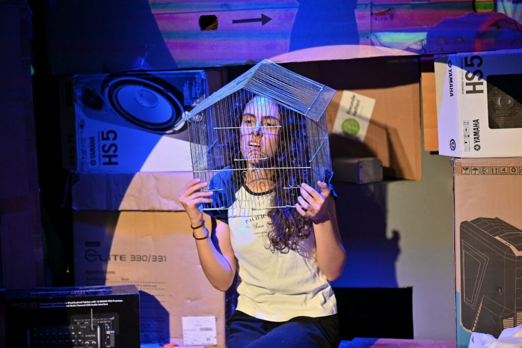 Птах на горищі