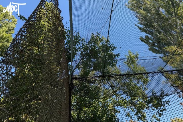 Департамент цивільного захисту ХОДА переплатив до 40% за оборонні сітки, – звіт