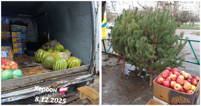 Таке можливо лише в Херсоні: на ринках продають ялинки, а поруч – кавуни