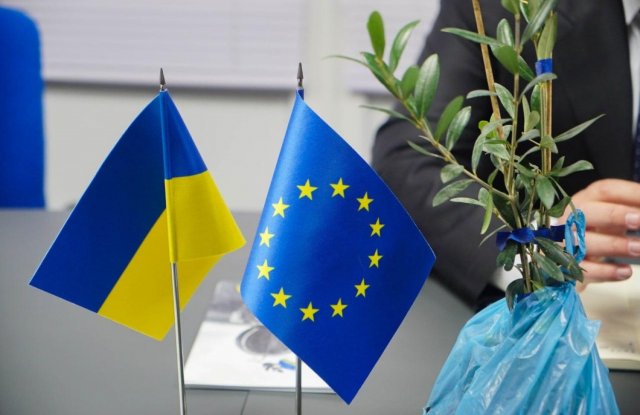 На Херсонщині створять плантацію оливкових дерев: з Греції вже привезли перші саджанці