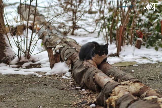 Попри обіцянки Сальдо, на лівобережжі Херсонщини досі не почався опалювальний сезон