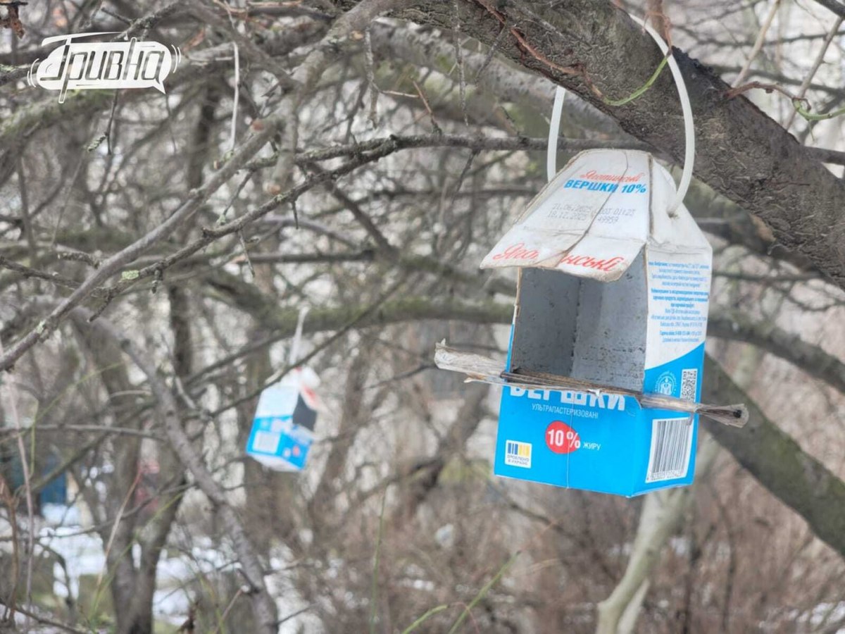 Херсонці годують птахів