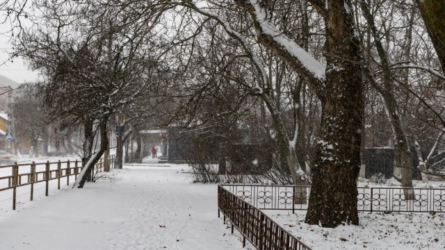 Погодні рекорди 2025 року. Херсонські синоптики підсумували рік