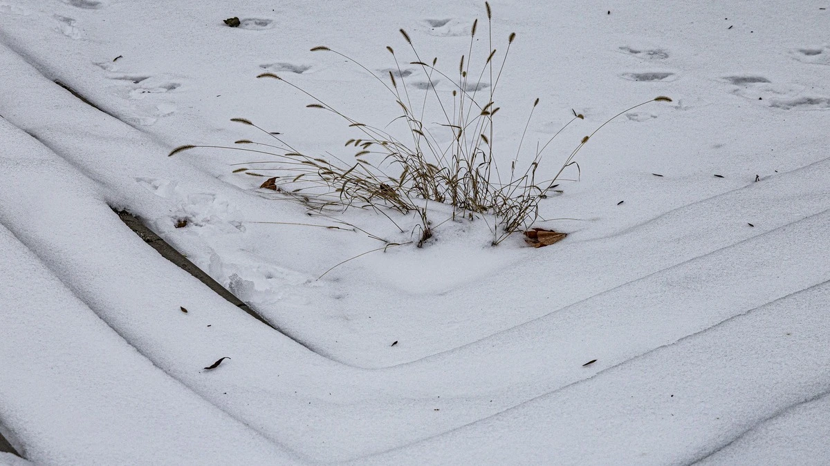 Яка погода очікується в Херсоні та області 20 лютого 2026 року?