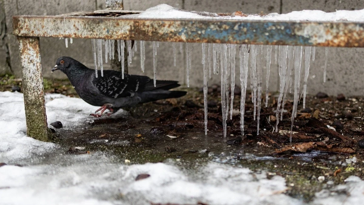 Чи очікувати магнітні бурі 13 лютого 2026 року?