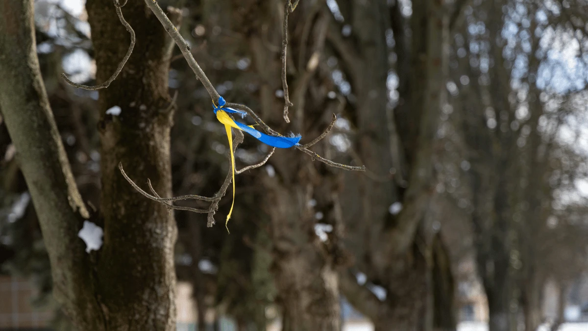 З окупованої Херсонщини повернули двох підлітків