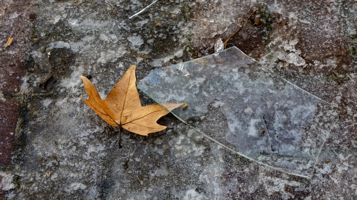 Яка погода очікується в Херсоні та області 21 лютого 2026 року?