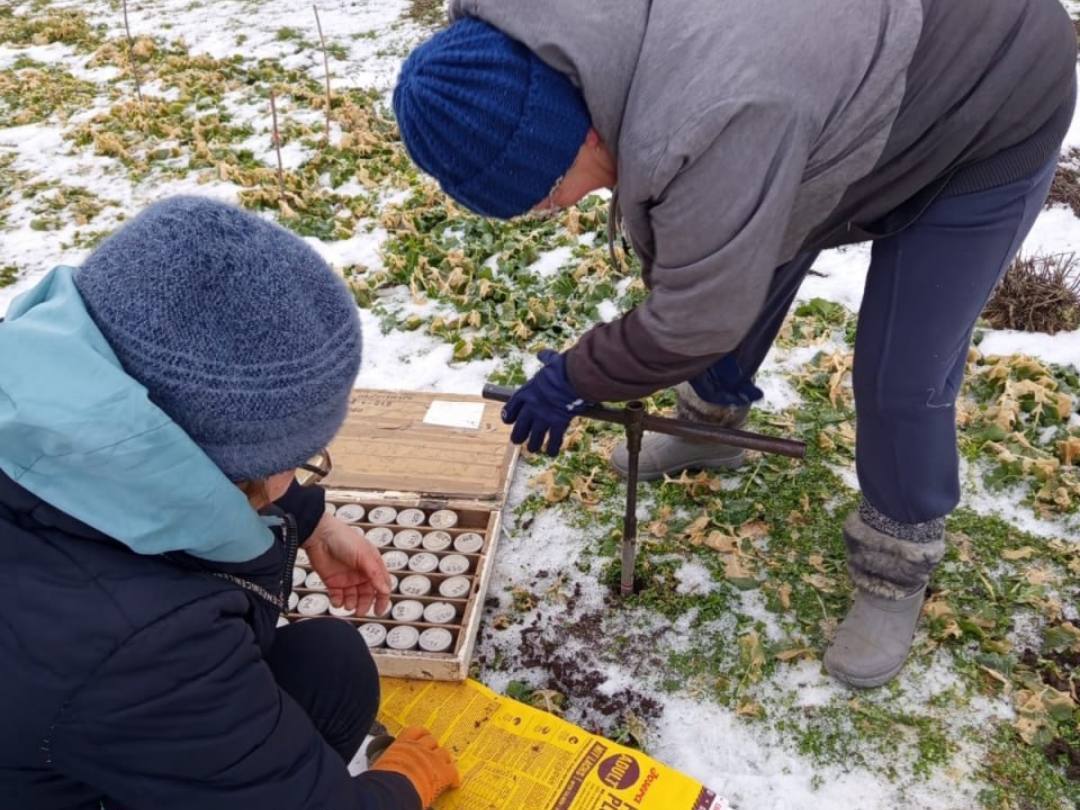 Херсонські метеорологи: запаси вологи в ґрунті подають надію на хороший урожай
