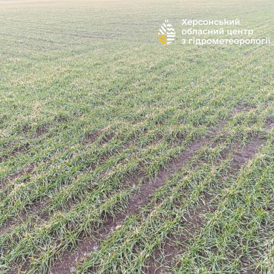 запаси вологи на полях Херсонщини