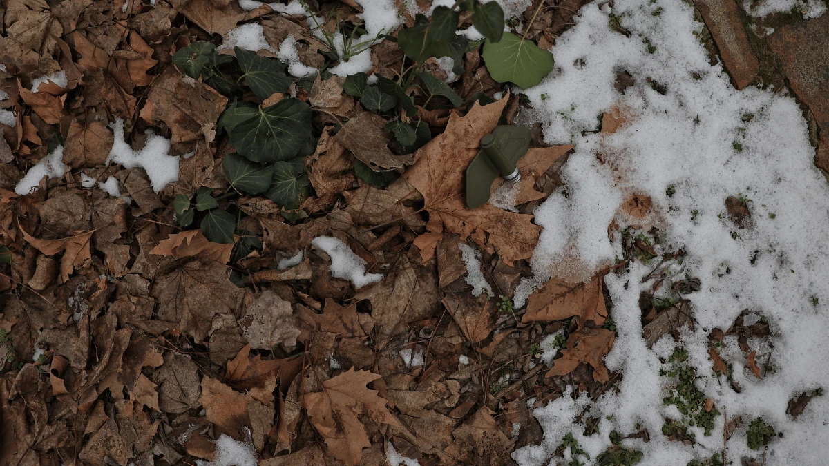 На одній з вулиць Херсона виявили протипіхотні міни