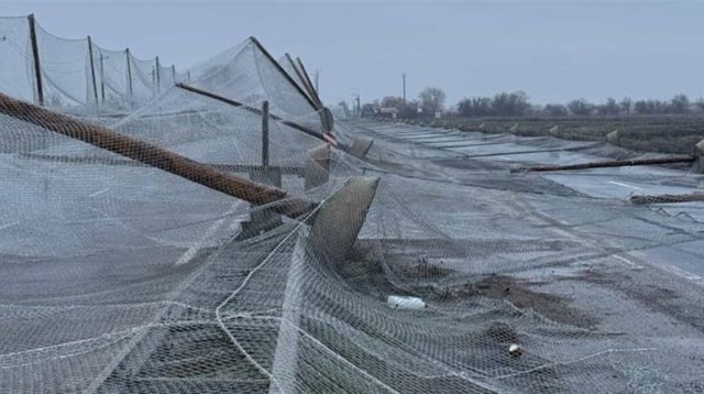 Антидронові сітки на Херсонщині впали після морозів: хто відповідальний за витрачені на них кошти