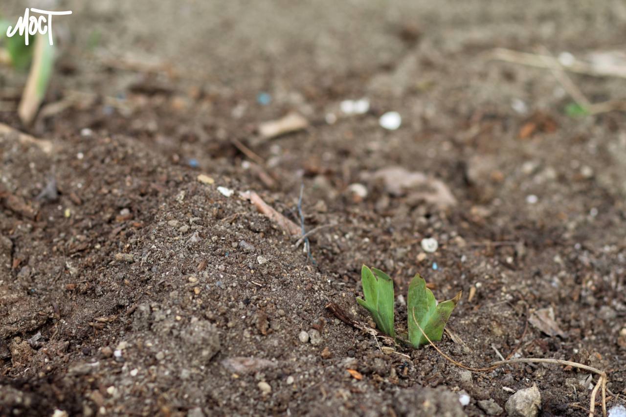 Плата за землю принесла бюджетам Херсонщини 57 мільйонів гривень, надходження скоротилися
