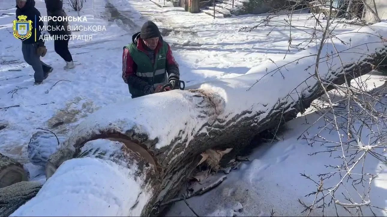 У Херсоні через сильний вітер повалило дерева
