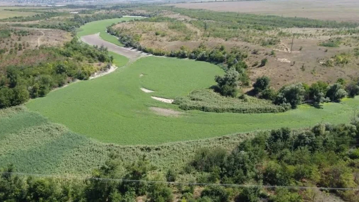 Збитки, завдані екосистемам нацпарку "Кам'янська Січ", оцінили у понад сто мільярдів гривень