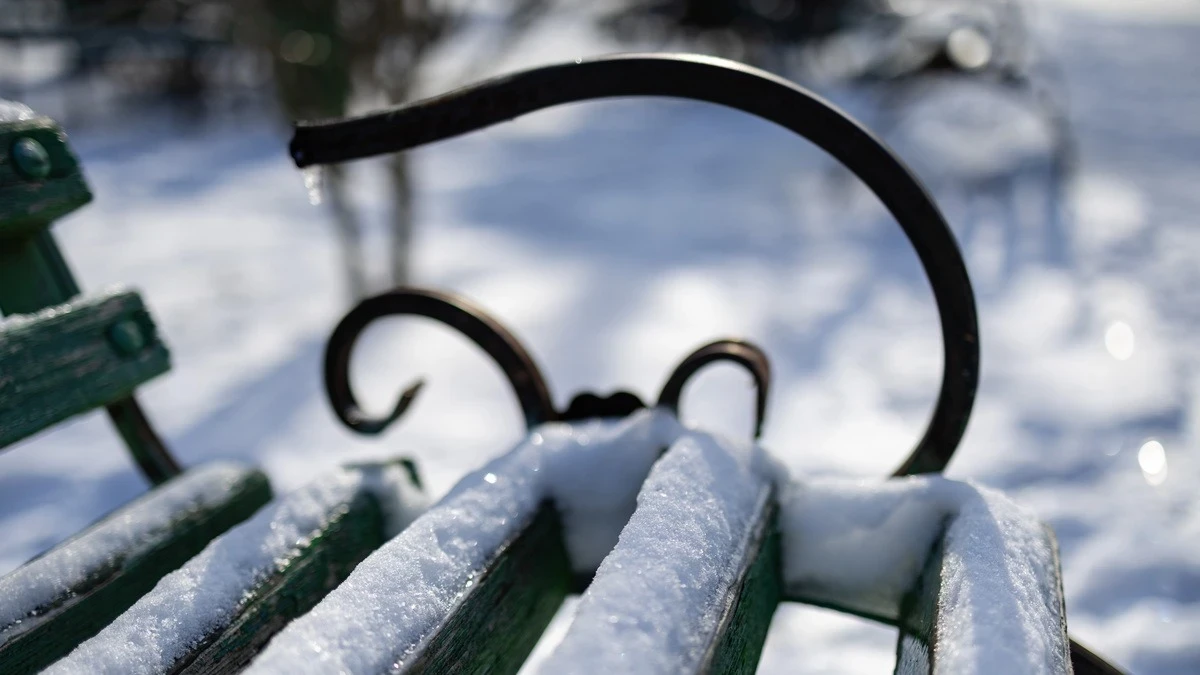 Яка погода очікується в Херсоні та області 19 лютого 2026 року?