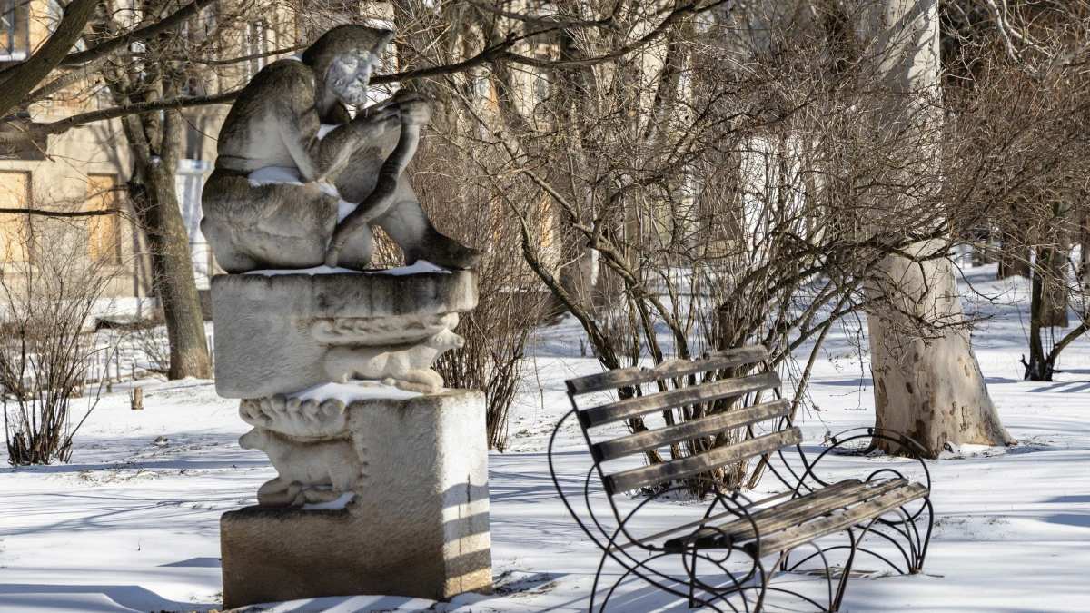 Яка погода очікується в Херсоні та області 22 лютого 2026 року?