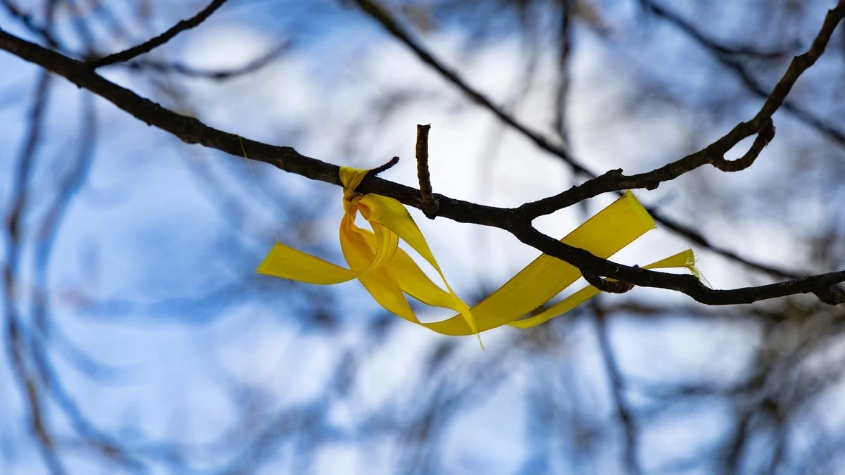 Яка погода очікується в Херсоні та області 5 березня 2026 року?