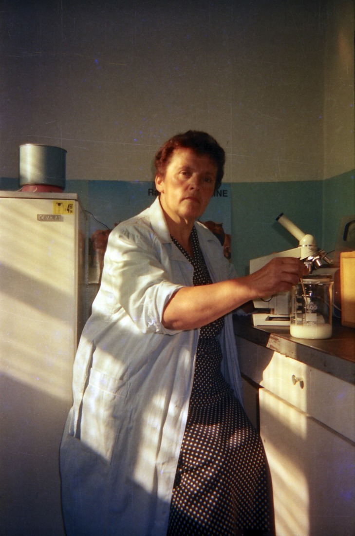 вирощують рибу на початку 2000-х