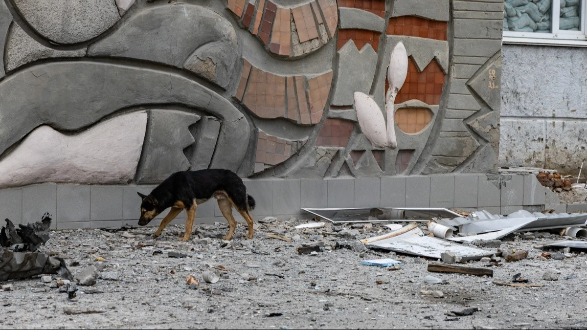 На Херсонщину U-Hearts передала понад 70 тисяч тонн корму