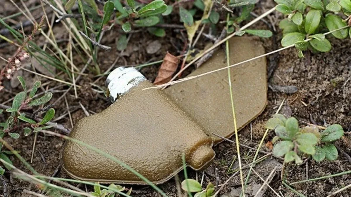 У Херсоні попереджають про протипіхотні міни на одній із вулиць