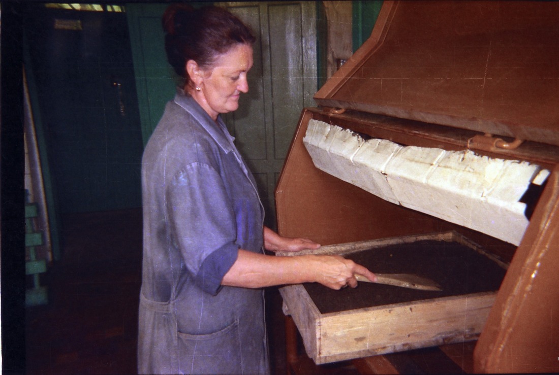 вирощують рибу на початку 2000-х