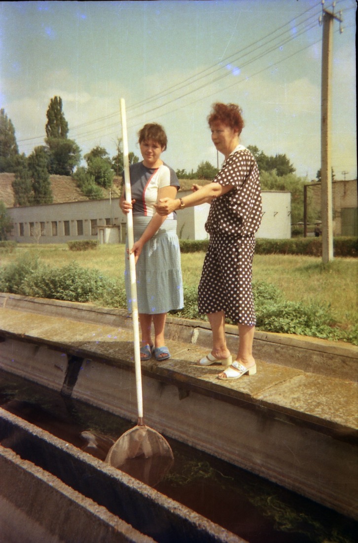 вирощують рибу на початку 2000-х