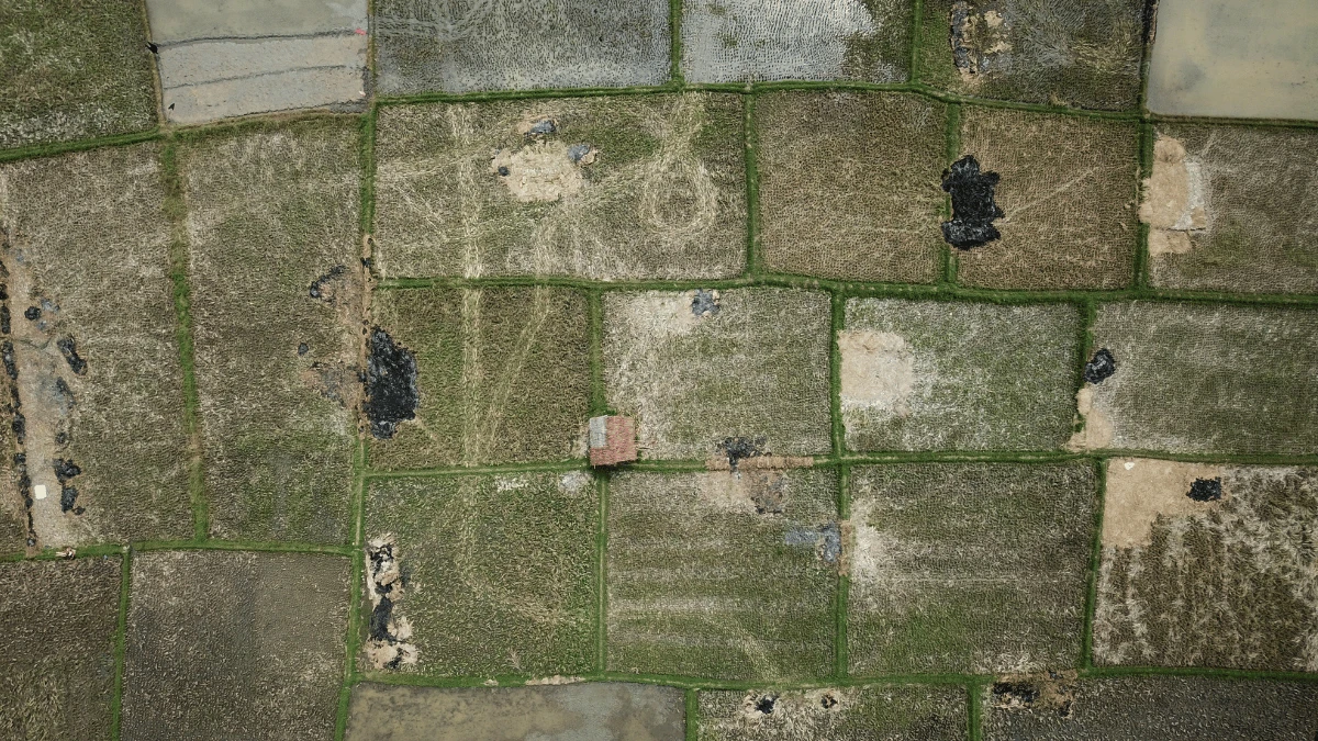 На окупованих територіях України незаконна влада може вилучати землі за "неосвоєння"