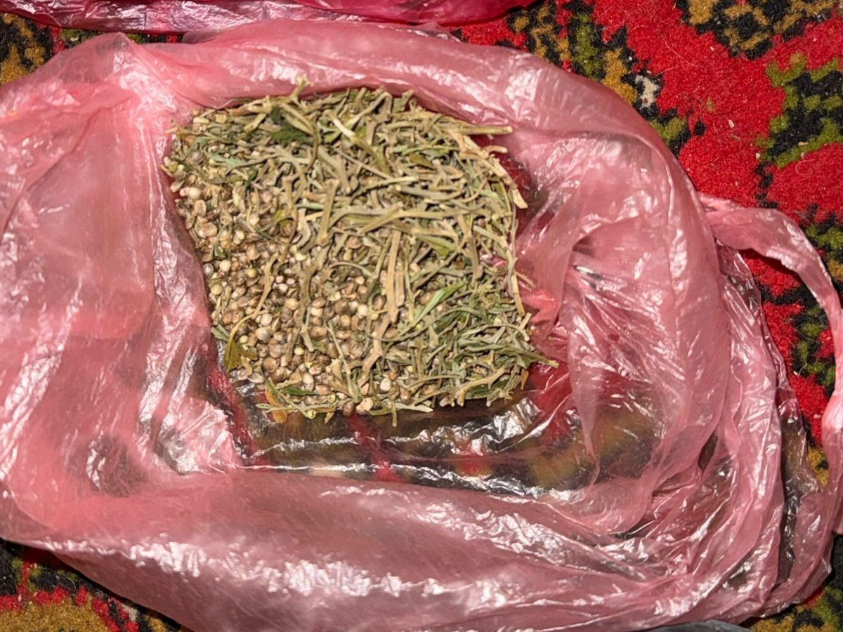 За день заробляли по кілька тисяч: у Херсоні затримали групу збувачів канабісу