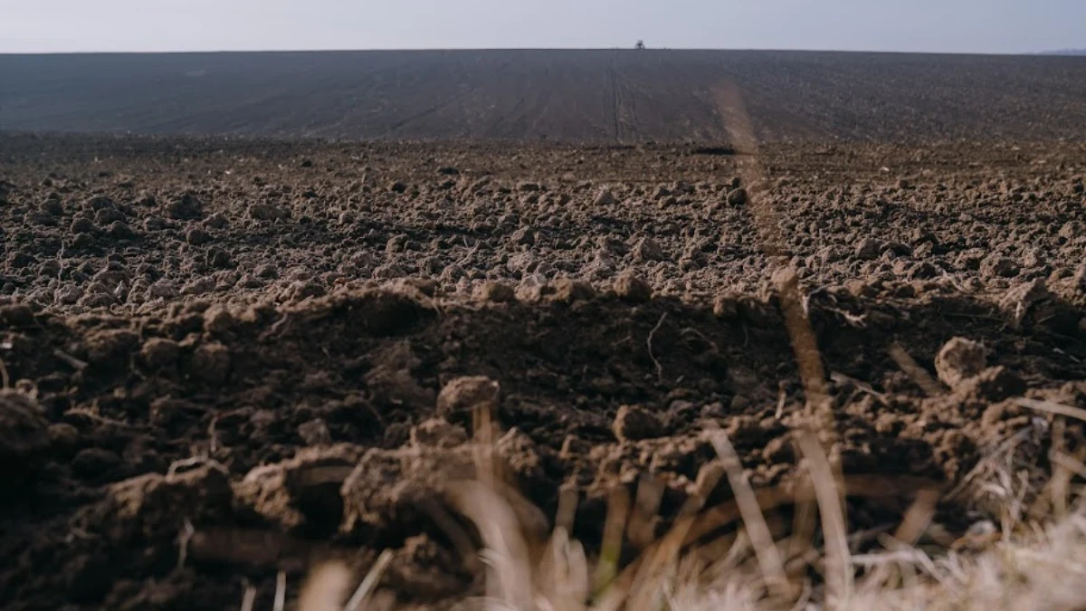 Суд зобов’язав підприємство повернути Херсонській громаді понад пів мільйона гривень