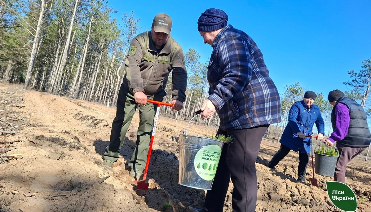 На Херсонщині почали відновлювати ліси на деокупованих територіях