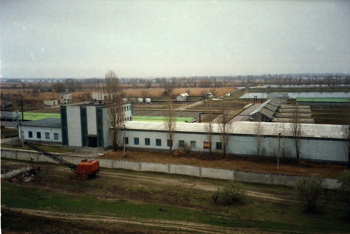 Це було єдине в Україні державне підприємство, де вирощували цінну рибу: історія Дніпровського осетрового заводу (фото)