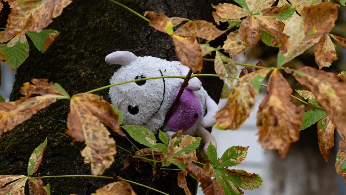 У Херсоні не фіксували випадків примусової евакуації дітей без згоди батьків