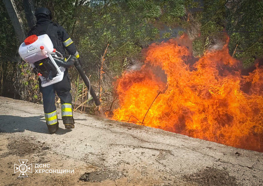 За минулий рік на Херсонщині зафіксували понад 1300 пожеж