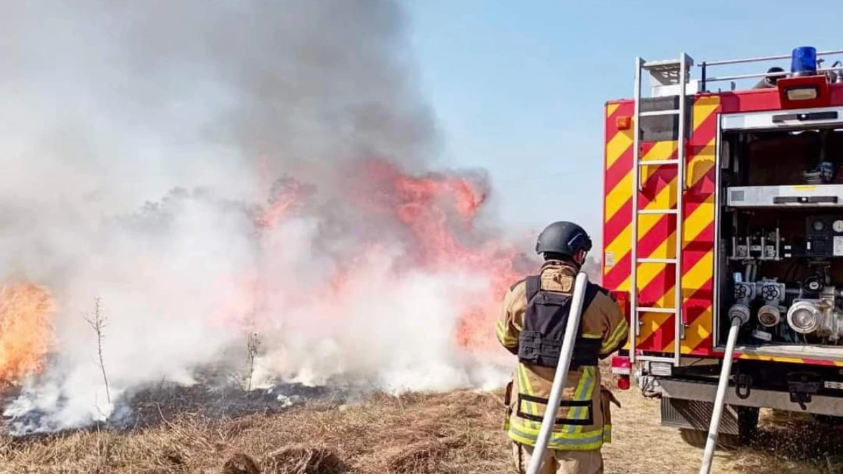 Який штраф загрожує за спалювання листя на Херсонщині