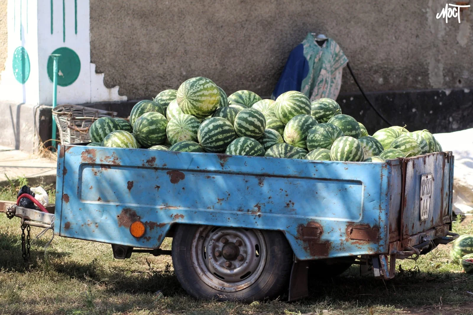 Цьогоріч на правобережжі Херсонщини може стати більше кавунів