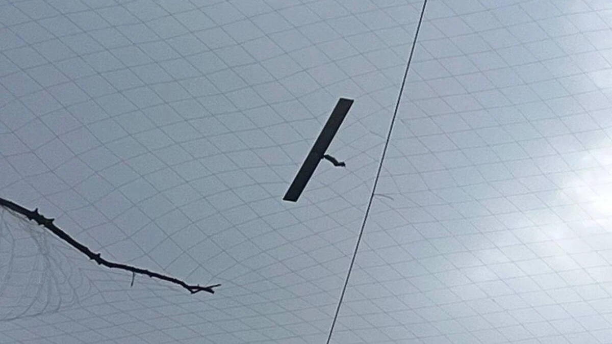 У Херсоні безпілотник потрапив у сітку. ФОТО