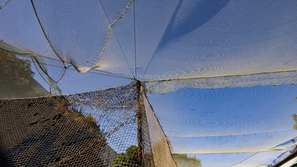 Близько 600 кілометрів доріг в Україні потребують антидронового захисту — віцепрем'єр Кулеба