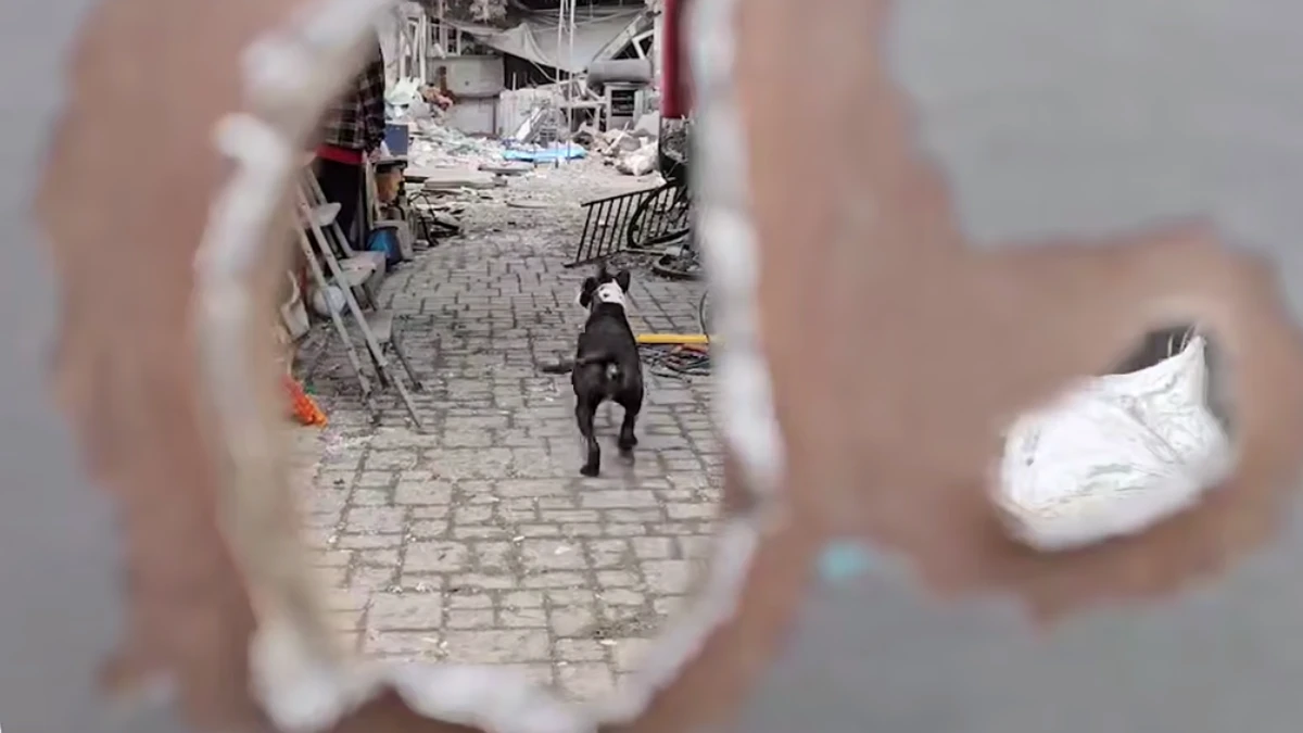 Окупаційні війська поцілили на подвір'я будинку в одному з районів Херсона. ВІДЕО